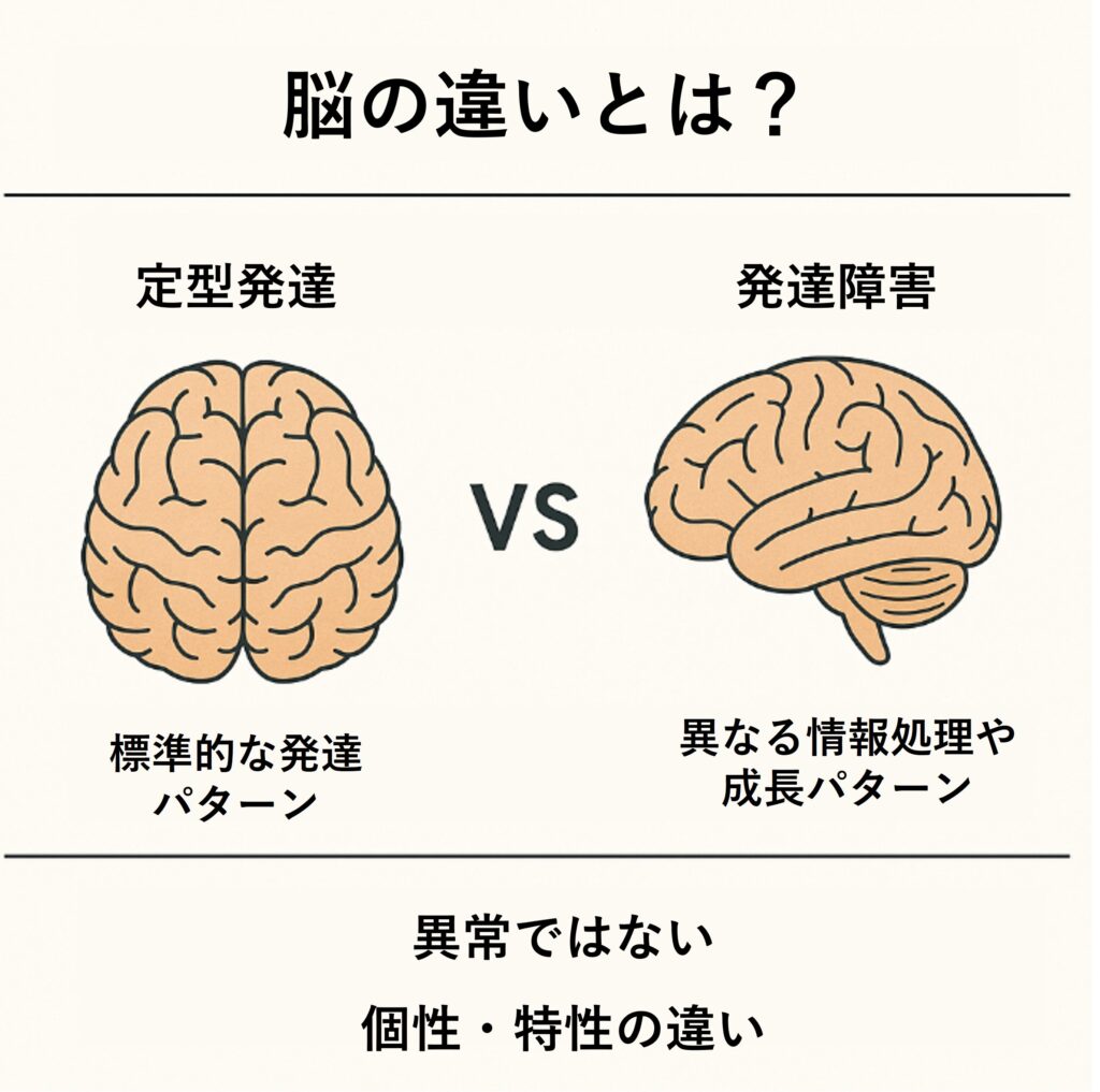 発達障害とは、「脳の成り立ちや働き方に特性があること」によって、行動や感じ方、考え方に独自のパターンがみられる状態を指します。